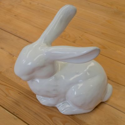 Conejo sentado blanco