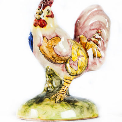 Gallo chico