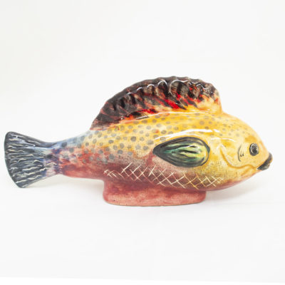 Pez salmon